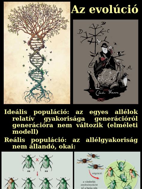 A tevék evolúciós térképe