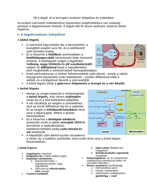 A társadalombiztosítási rendszer felépítése
