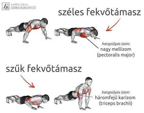 A fekvőtámasz helyes kivitelezése lépésről lépésre