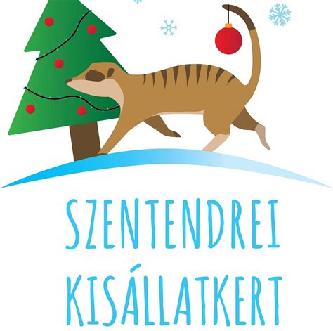 Illusztráció a megfelelő fekvő pozícióról inszemináció után