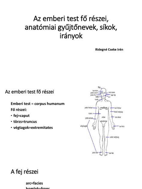 Aura színképe és emberi test