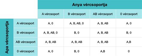 Vércsoportok és Rh faktor diagram