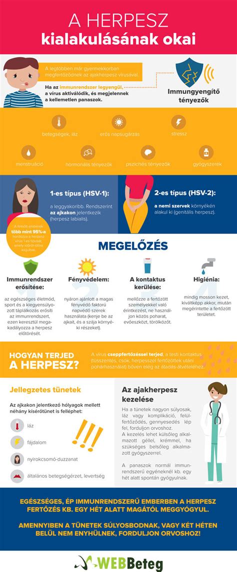 Infografika a visszér kialakulásának okairól terhesség alatt