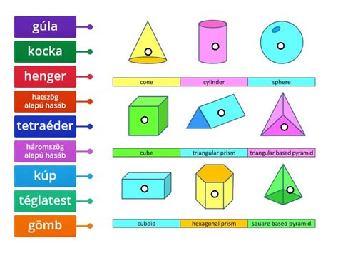 Diagram a fenntartói formák arányáról