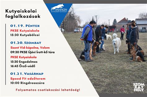 Kutyaiskolai felszerelések listája