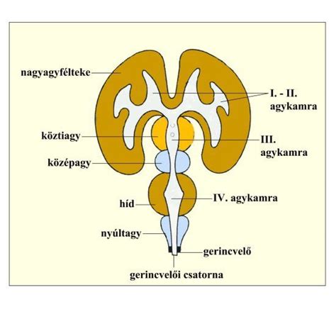 Tehermérés elvét ábrázoló sematikus rajz