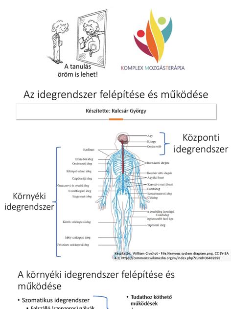Az egyesület felépítése és működése