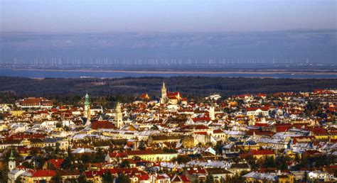 Gerecsei lombkoronasétány panoráma