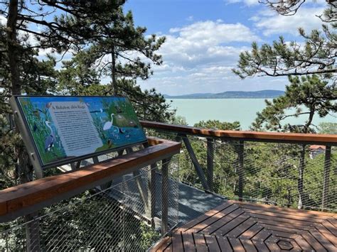 Balatonboglári lombkoronasétány és a Balaton panorámája