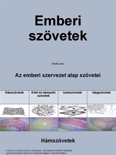 Az emberi veszteségek típusai
