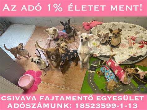 Csivava történelmi ábrázolása