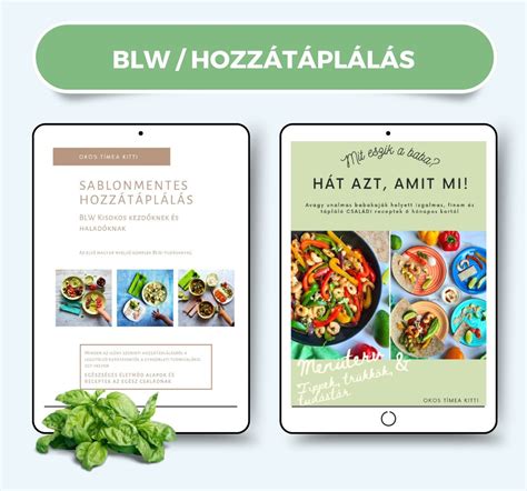A hozzátáplálás folyamatát szemléltető infografika, amely a különböző életkorokban bevezethető élelmiszereket mutatja be.