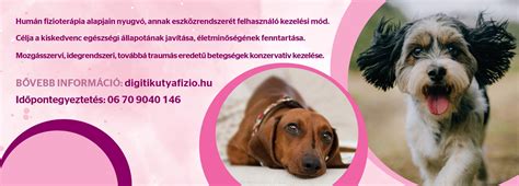 Gazdi kutyát fürdet