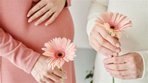 A terhesség trimesztereit és a leggyakoribb fizikai változásokat bemutató idővonal