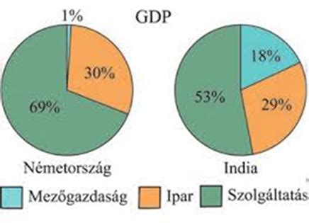 A magyar vendéglátóipar fejlődése és az import szerepe