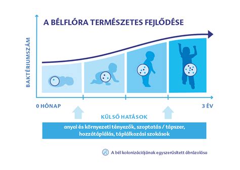 Csecsemő emésztőrendszere