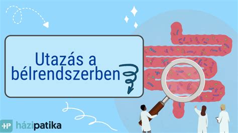Az agyfejlődés és a szinapszisok kialakulásának folyamata