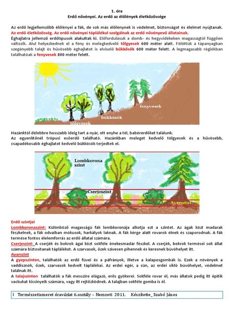 Példák ingergazdag környezet teremtésére a magzat számára