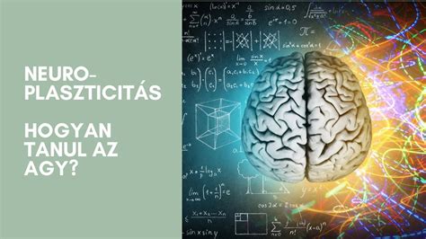 Az agy neuroplaszticitásának bemutatása: régi és új idegpályák