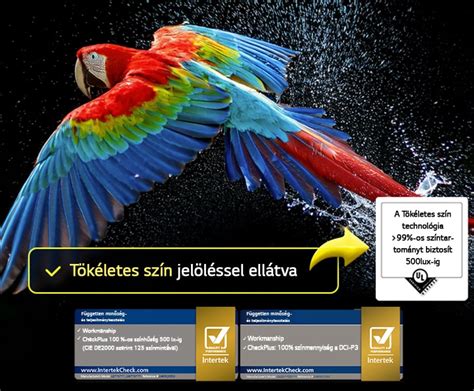 IBLCE tanúsítvány és logó