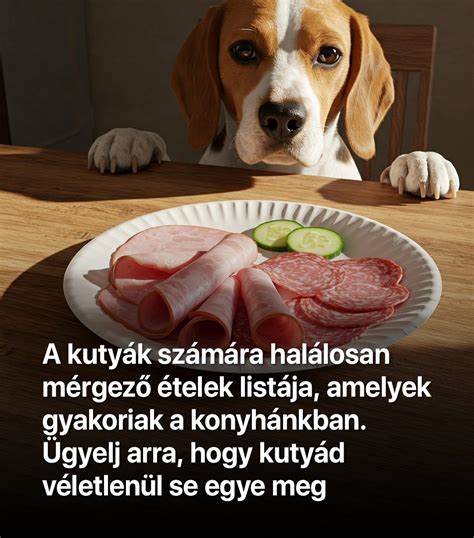 Mérgező ételek listája kutyák számára