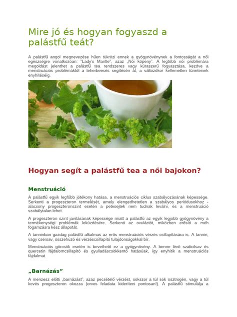 Infografika a palástfű főbb hatóanyagairól és azok jótékony tulajdonságairól