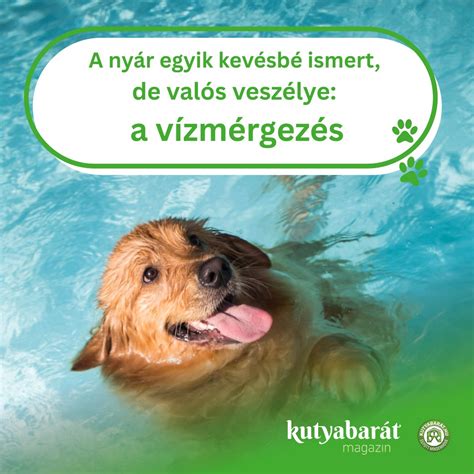 Bébi úszópelenkában játszik a vízben