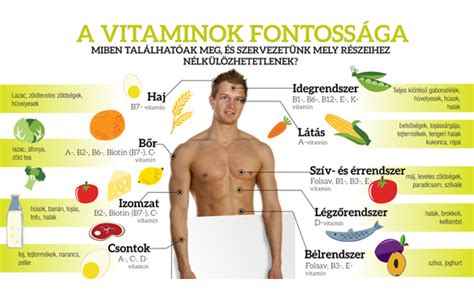Infografika a vitaminok gyermekeknek való fontosságáról