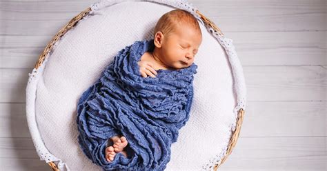 Lombik bébi program folyamatábrája