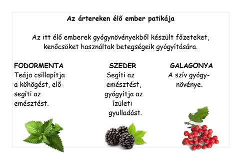 gyerekek által készített gyümölcssaláta