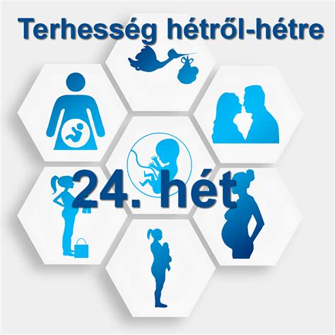 A terhesség trimesztereinek felosztása