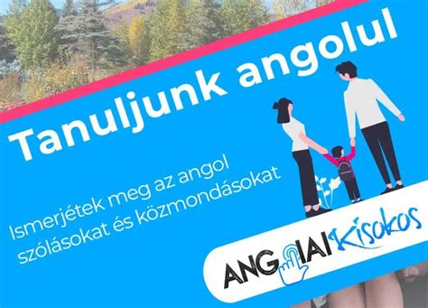 Elhagyott csecsemővel kapcsolatos hírek és újságcikkek gyűjteménye