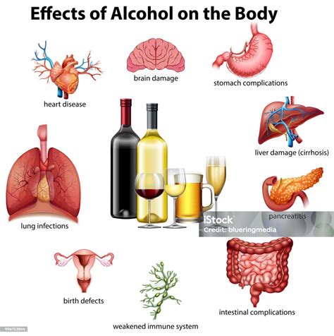 Alkohol hatása a petesejtekre és a spermiumokra