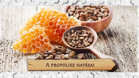 A propolisz és a méhkaptár