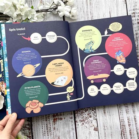 Infografika a cookie-k szerepéről