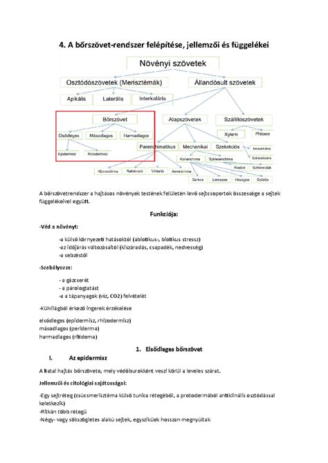 A védőnői rendszer felépítése és feladatai