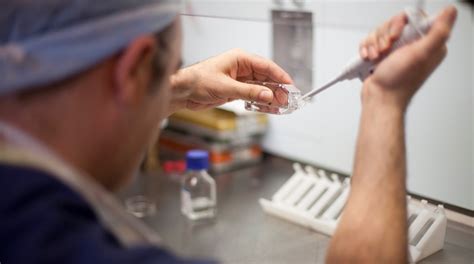 Petesejt donor kiválasztásának kritériumai