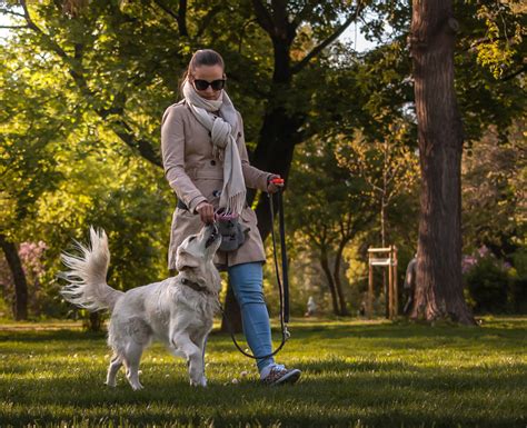gazdi kutyaiskolában gyakorol a kamasz kutyával