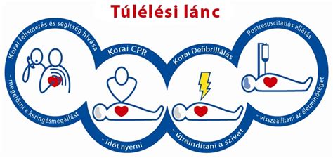 A túlélési lánc elemei infografikán