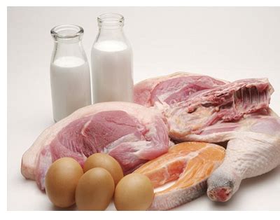 Különböző fehérjeforrások: hús, hal, tojás, tejtermékek
