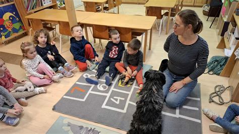 Kutyaterápiás foglalkozás illusztrációja