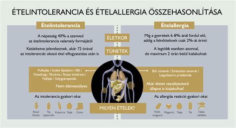 Ételintolerancia és ételallergia közötti különbségek infografika