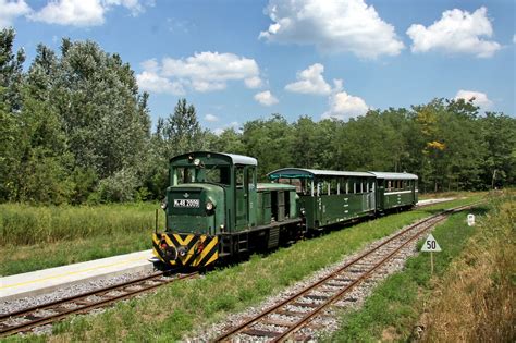 Zsuzsi Erdei Vasút térkép és vonatok