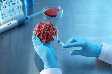 Embriótenyésztés laboratóriumban