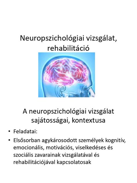 A neuropszichológiai vizsgálat folyamata