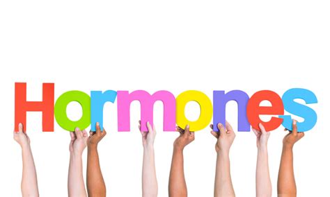 Terhességi hormonok hatása a női testre
