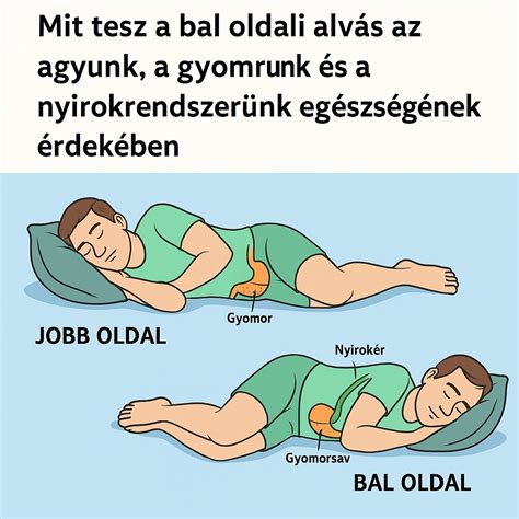 A bal oldali alvás előnyei terhesség alatt