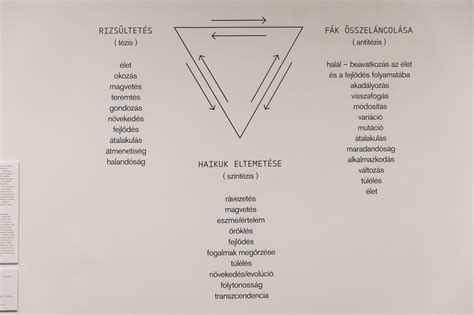 A NEAK funkcióinak összefoglaló ábrája