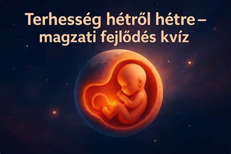 Magzati agy fejlődése