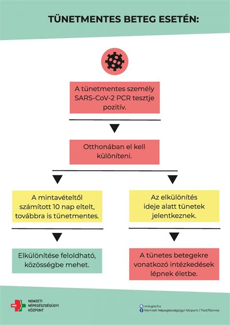 Védőnői tanácsadás folyamatát bemutató infografika